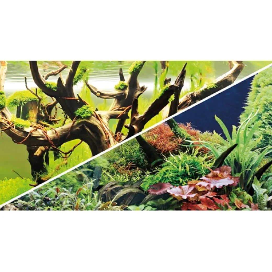 Akvariebaggrund Wood Island / Green secret (30 cm høj) 60 cm