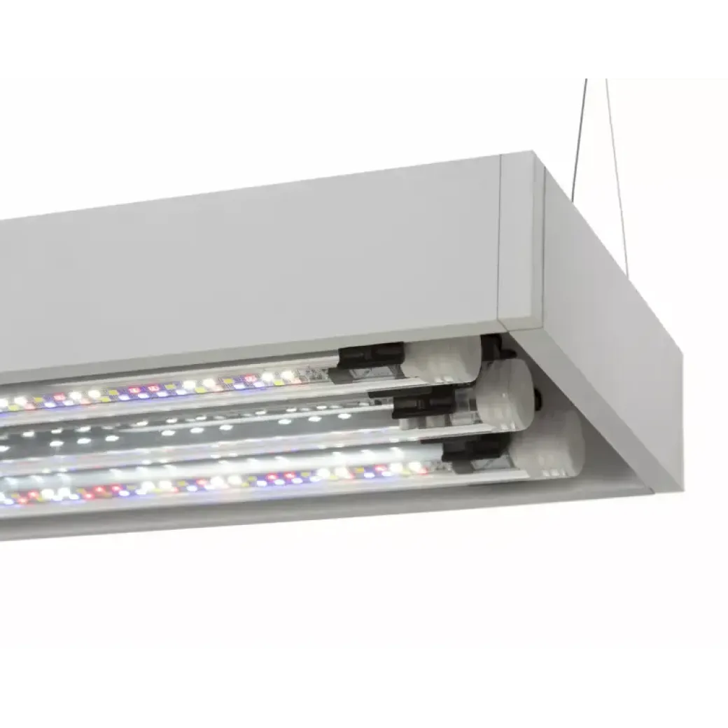 AquaEl Akvarie og Lampe Ultra Scape 60 Snow