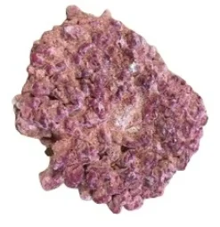 AquaForest Syntetisk Rock pr kg (Til Levende sten)