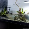 Aqua Terrarium 80x35x30,5 cm til Sumpskildpadder