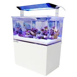 Armatus XS Saltvandsakvarium med sump 4 Liter