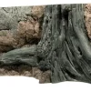 Back to Nature Amazonas 120 cm