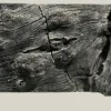 Back to Nature Orinoco Juwel 100x47 cm