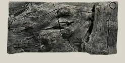Back to Nature Orinoco Juwel 100x47 cm