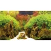 Baggrund til akvarium Canyon og Woodland (50 cm høj) 120 cm