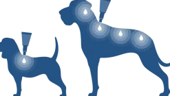 Bayvantic Vet hund under 4 kg 4 x 0,4 ml