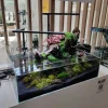 Blau Glasakvarium CUBIC Aquascaping Shallow 17 45x24x16 cm