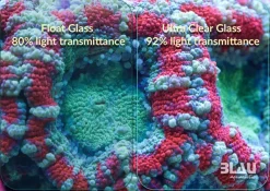 Blau Gran Cubic Super Reef 122 Black 366 liters Saltvandsakvarium