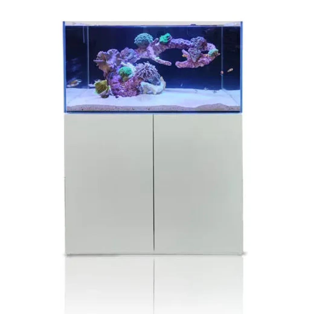Blau Gran Cubic Super Reef 92 White 276 liters Saltvandsakvarium