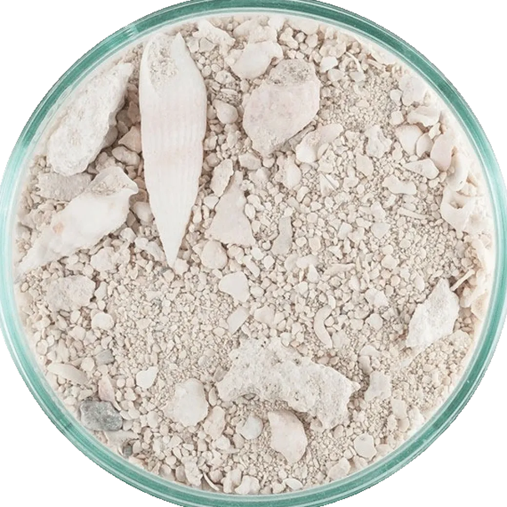 CaribSea Ocean Direct Original Grade 2,25 kg