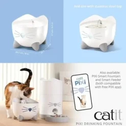 Catit Pixi Drikkefontæne i Grøn