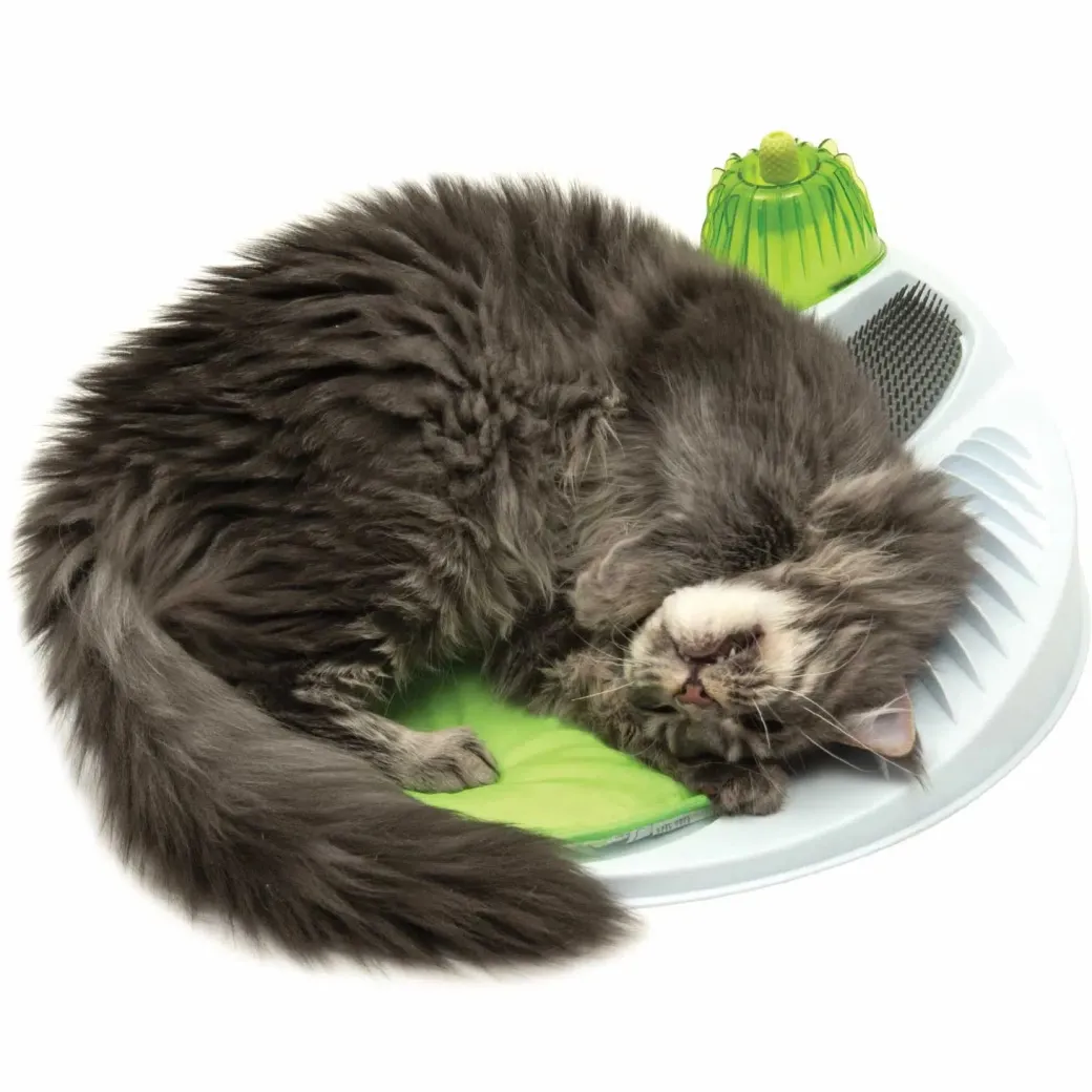 Catit Senses Wellness Center
