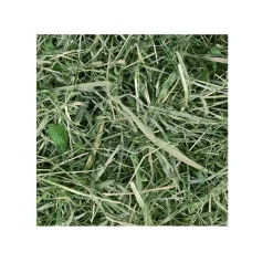 Chipsi Sunshine Timothy Hø 800 g