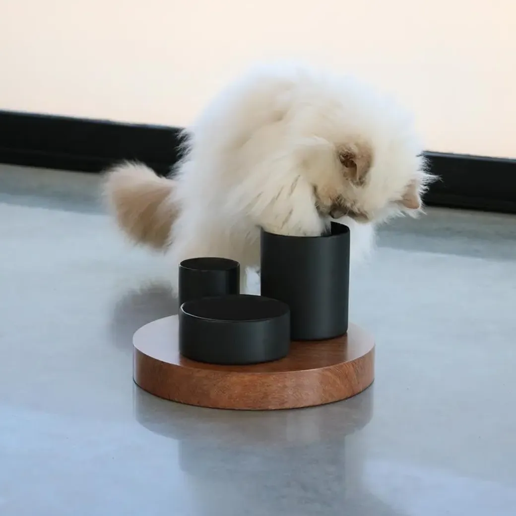 D&D CAT IGGY Slow Feeder 27x27x19 cm Sort