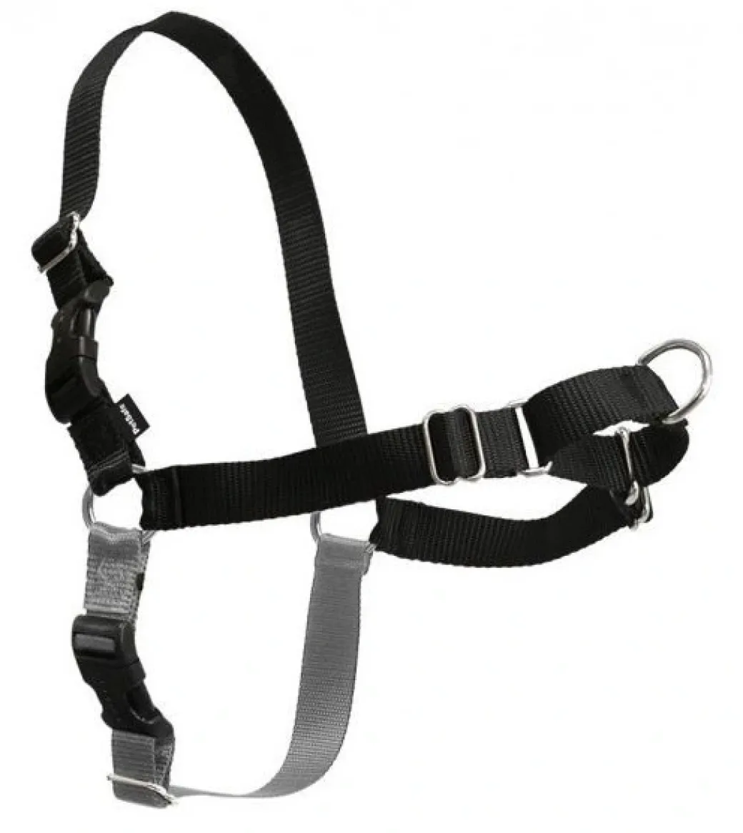 Easy Walk Hundesele Sort M/L - Bryst 35,5-45,5 cm