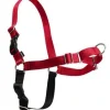 Easy Walk Hundesele S Rød - Bryst 21,5-28 cm