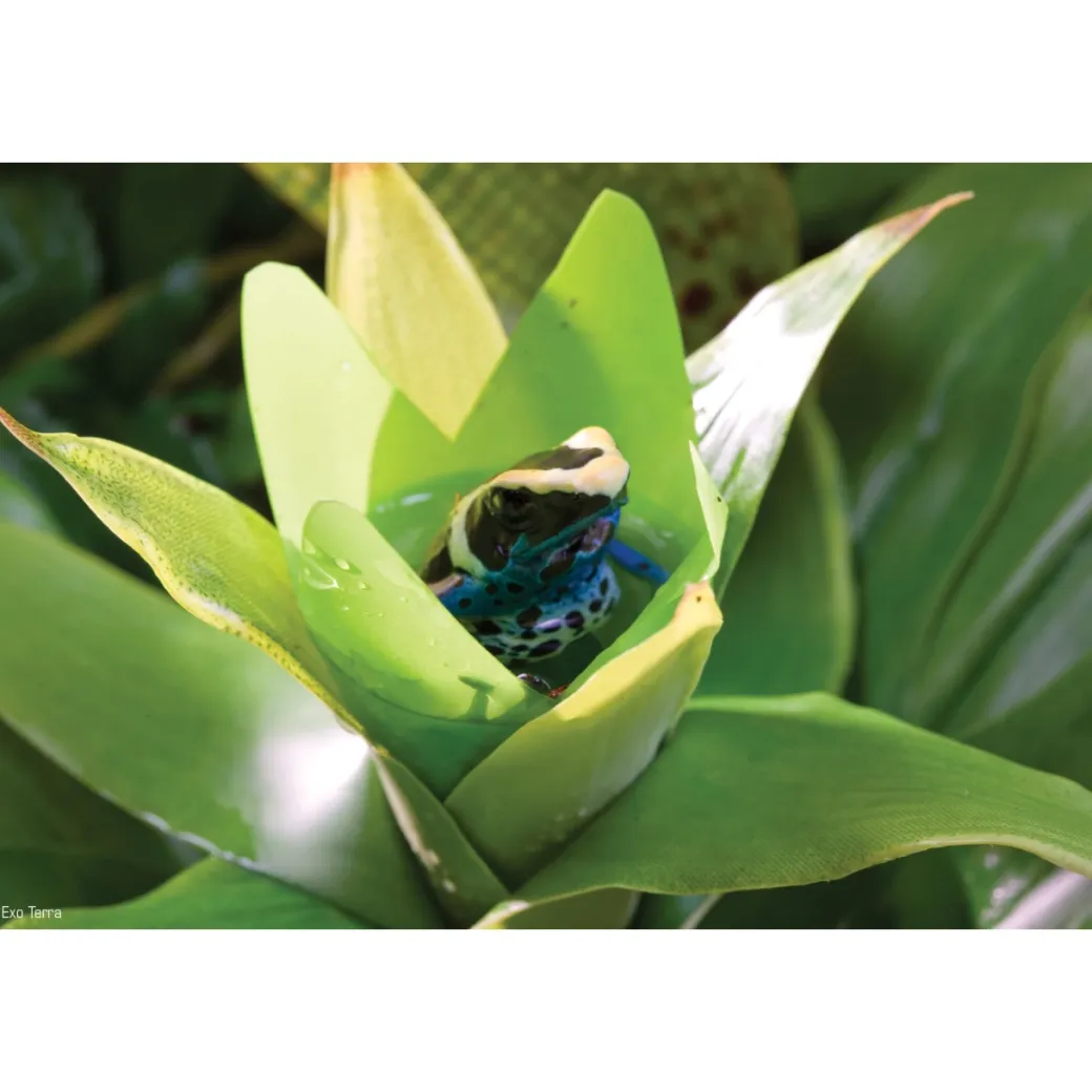 Exo Terra Bromelia Medium