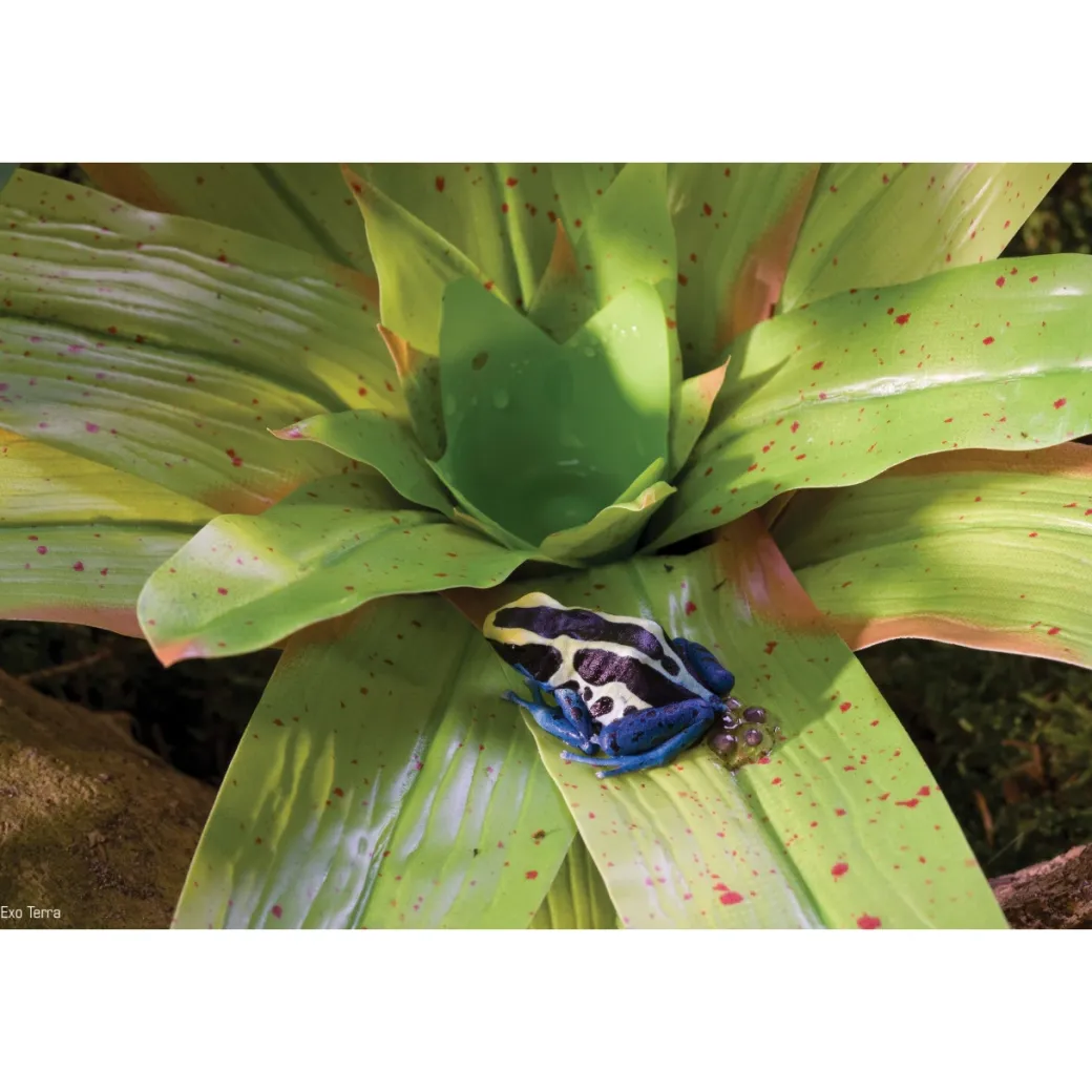Exo Terra Bromelia Medium