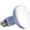 Exo Terra Day Glo Spot 75 w med UVA