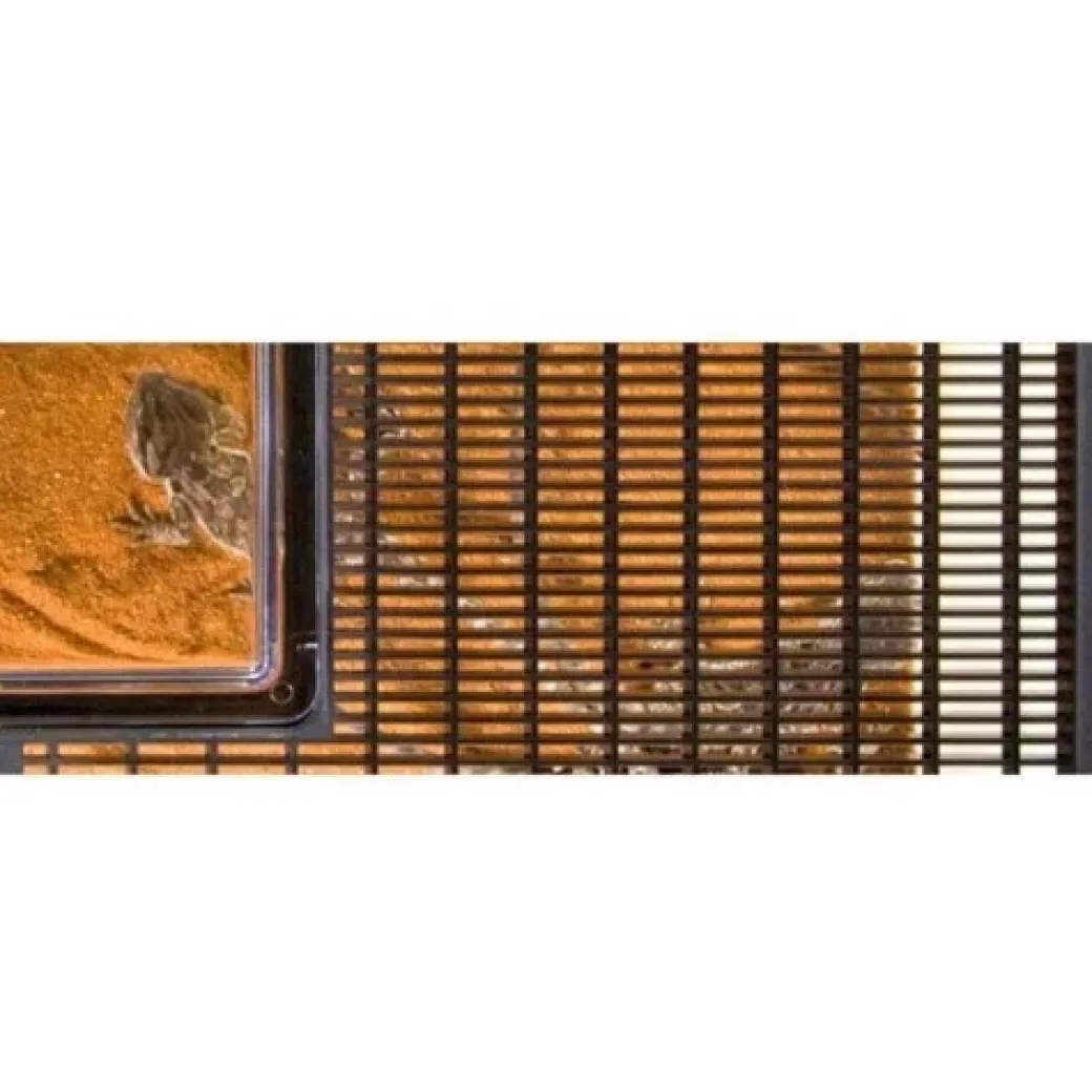 Exo Terra Faunarium stor (HPT2265)