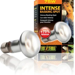 Exo Terra Intense Basking Spot 75 W - Effektiv UVA-varmespot til terrarier