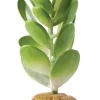 Exo Terra Jade kaktus