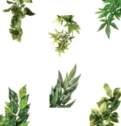 Exo Terra Ruscus medium