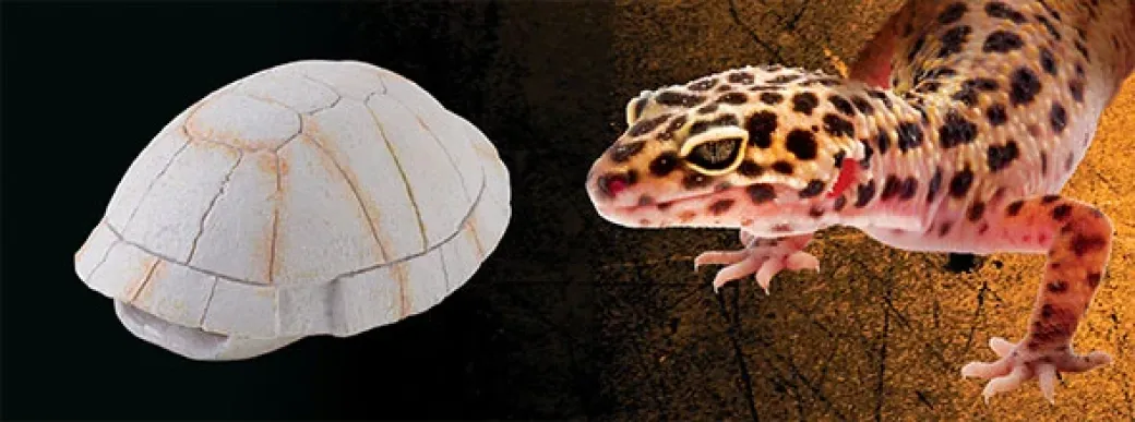 Exo Terra Skildpaddeskjold lille
