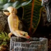 Exoterra Tiki vandskål 8x8x3 cm