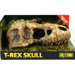 Exo Terra T-Rex kranie lille