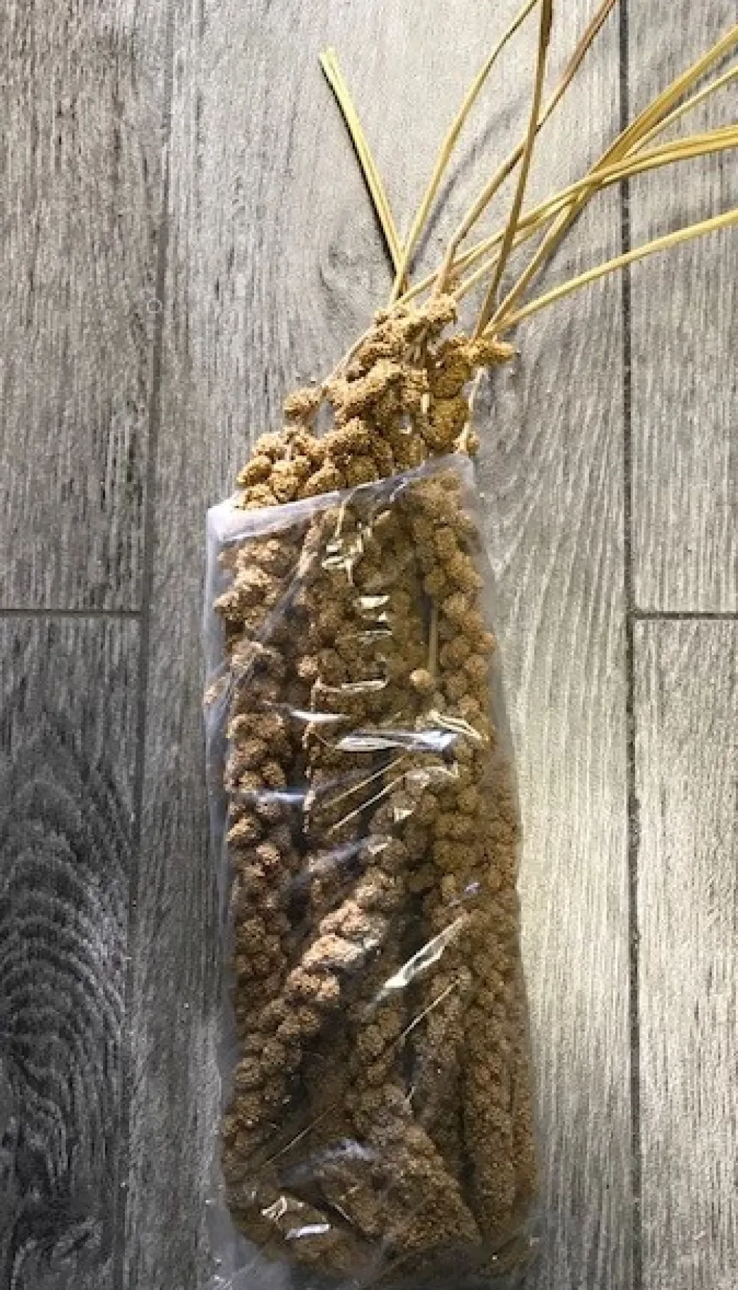 Franske Gule Hirsekolber 10 stk