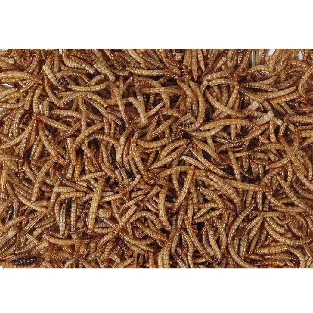 Hobby First Melorme tørret300 g til vildtfugle