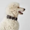 Hunter Aalborg 70 Special Mørkebrunt hundehalsbånd - 51-61 cm