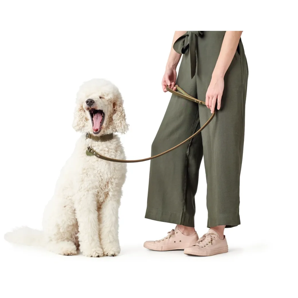 Hunter Aalborg Sport Oliven 42 hundehalsbånd - 32-38 cm