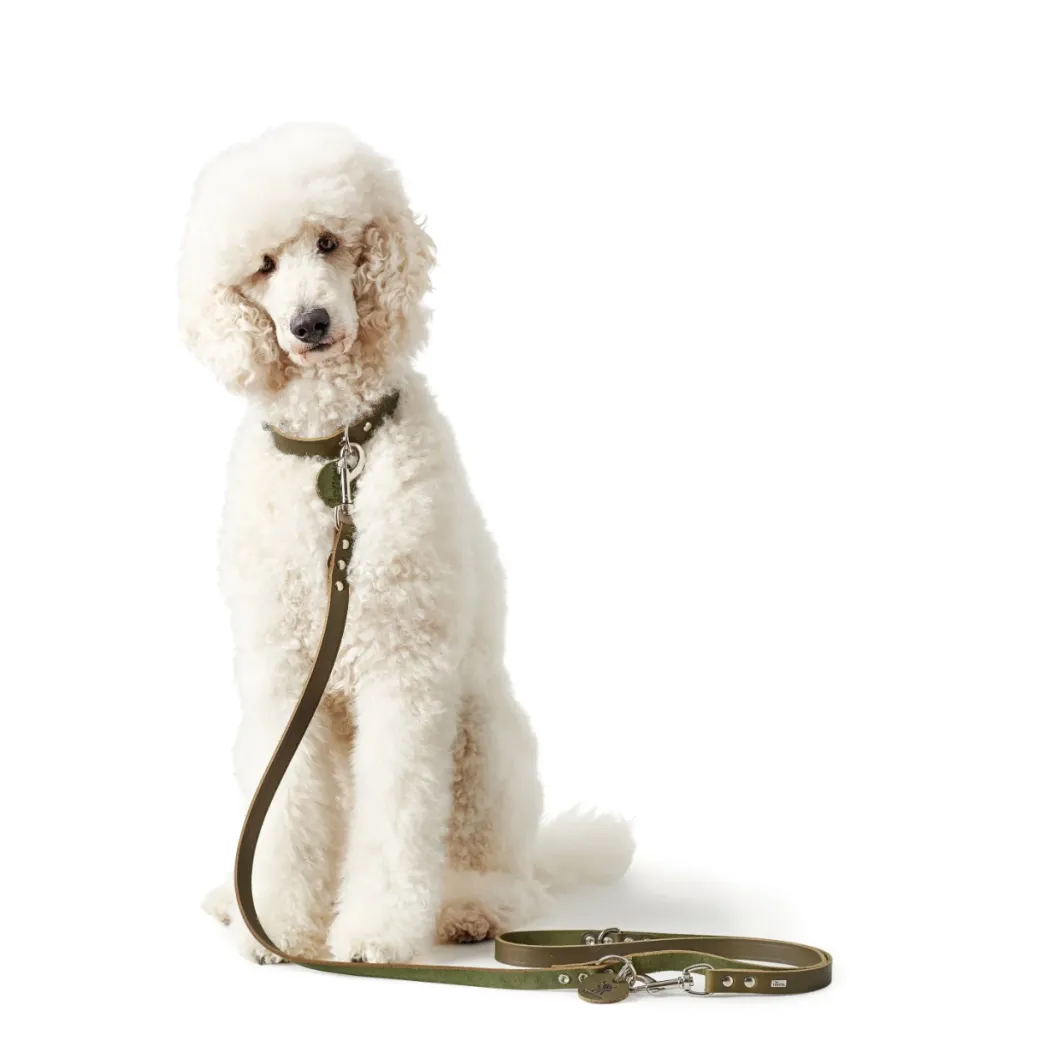 Hunter Aalborg Sport Oliven 47 hundehalsbånd - 37-43 cm