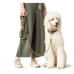 Hunter Aalborg Sport Oliven 47 hundehalsbånd - 37-43 cm