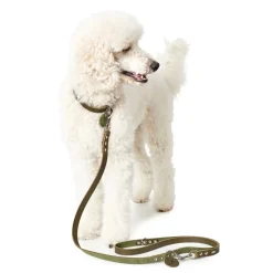 Hunter Aalborg Sport Oliven 52 hundehalsbånd - 38-47 cm