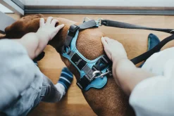 Hunter Divo hundesele L lyseblå/grå just mave 72-100 cm - Stabil kontrol og høj komfort