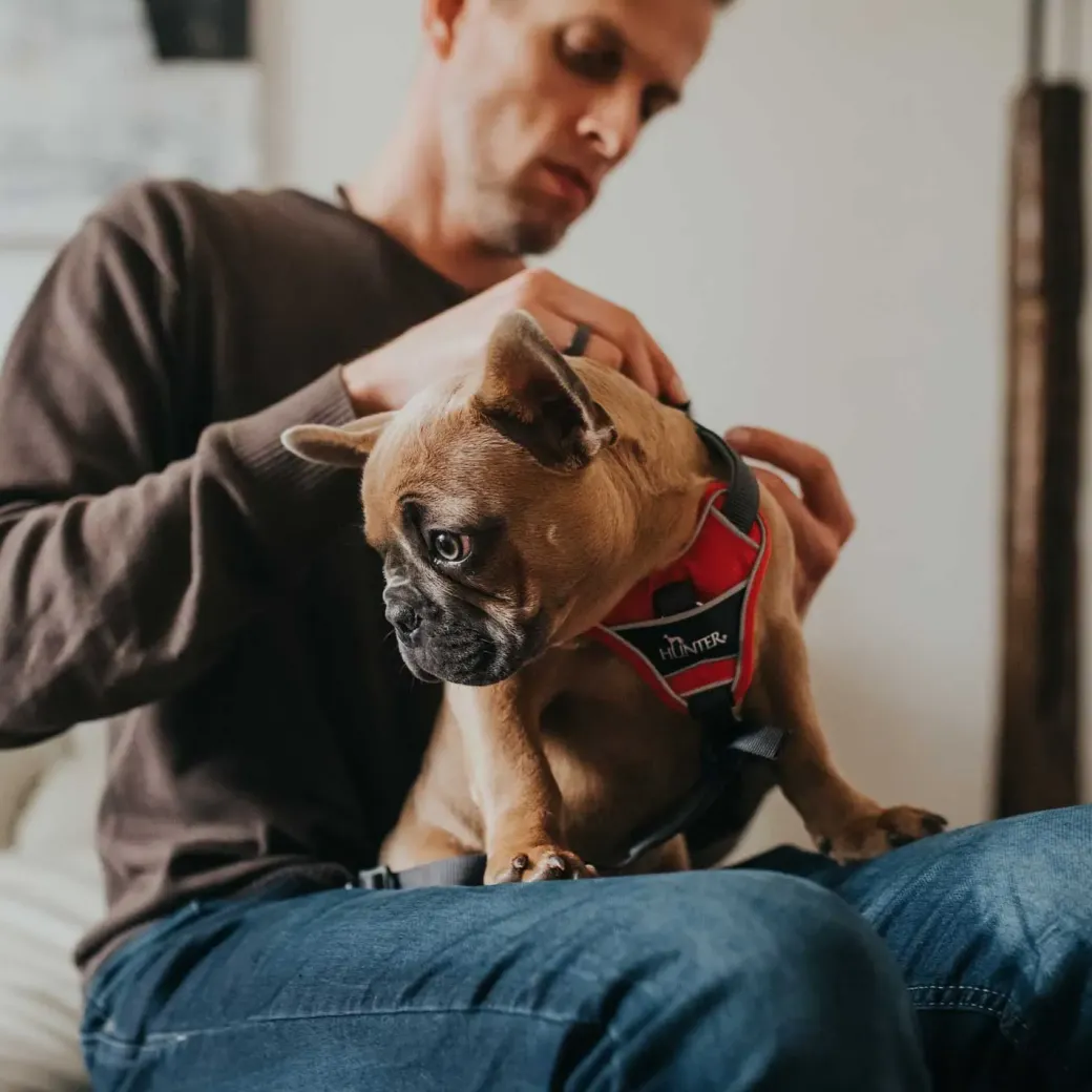Hunter Divo hundesele L-XL rød/grå just mave 79-107 cm - Ekstra stabilitet og komfort