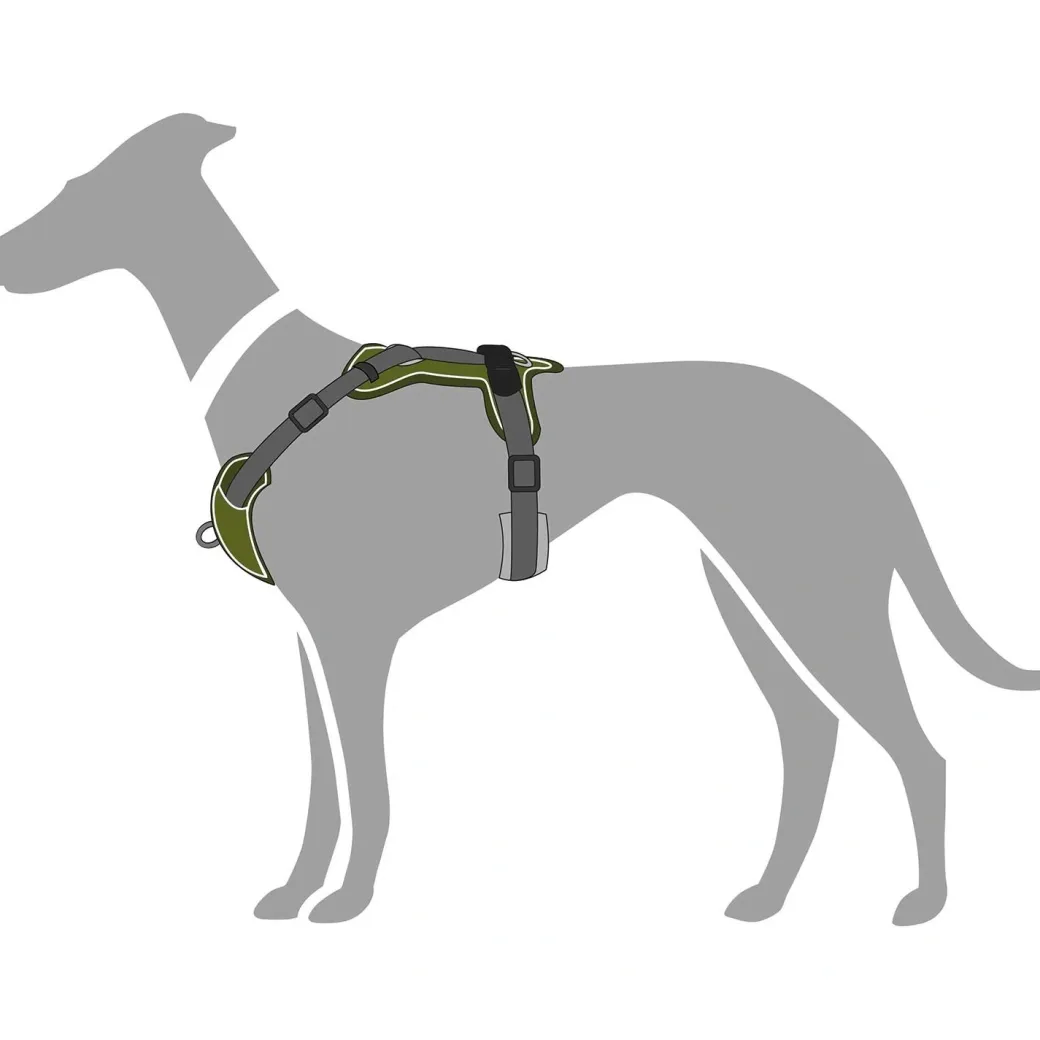 Hunter Divo hundesele M grøn/grå just mave 56-73 cm - Stabil kontrol og komfort