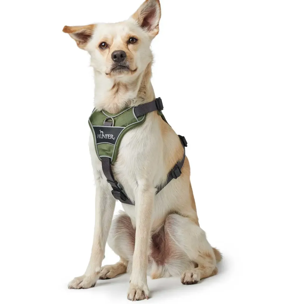 Hunter Divo hundesele M grøn/grå just mave 56-73 cm - Stabil kontrol og komfort