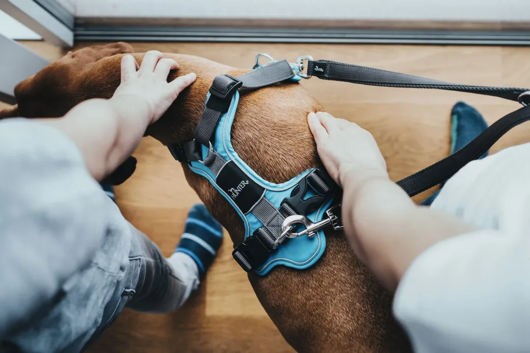 Hunter Divo hundesele S lyseblå/grå just mave 45-56 cm - Let kontrol og høj komfort