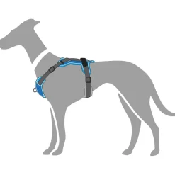 Hunter Divo hundesele S-M lyseblå/grå just mave 52-68 cm - Fleksibel støtte og komfort