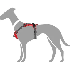 Hunter Divo hundesele S-M rød/grå just mave 52-68 cm - Fleksibel støtte til aktive ture
