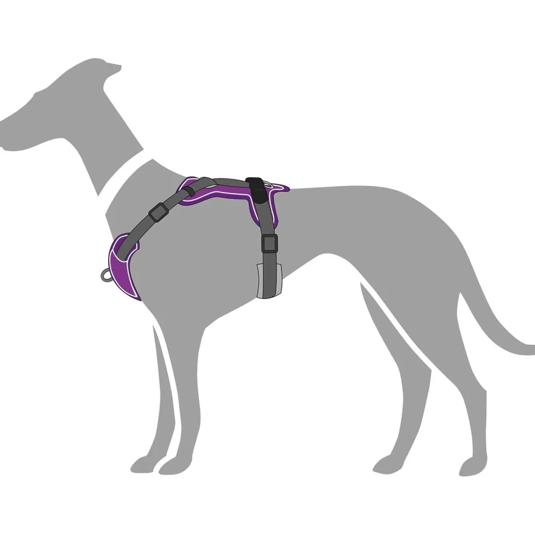Hunter Divo hundesele S-M violet/grå just mave 52-68 cm - Fleksibel støtte og komfort