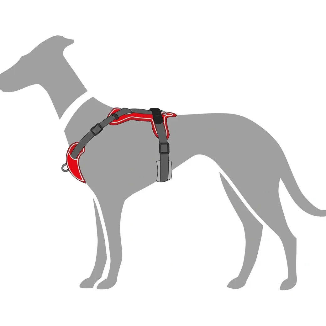 Hunter Divo hundesele S rød/grå just mave 45-56 cm - Smidig pasform og stabil kontrol