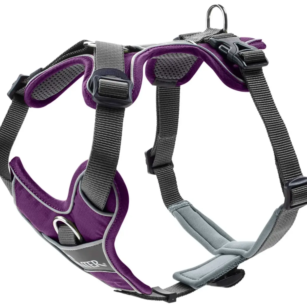 Hunter Divo hundesele S violet/grå just mave 45-56 cm - Tryg pasform og bevægelse