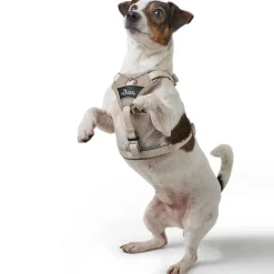 Hunter Divo Up hundesele L beige just mave 72-100 cm - Stabil støtte og tryg bevægelse