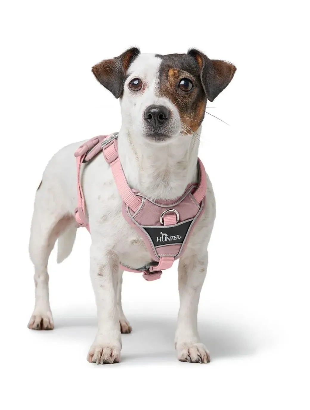 Hunter Divo Up hundesele S lyserød just mave 45-56 cm - Rolig påtagning og stabil komfort