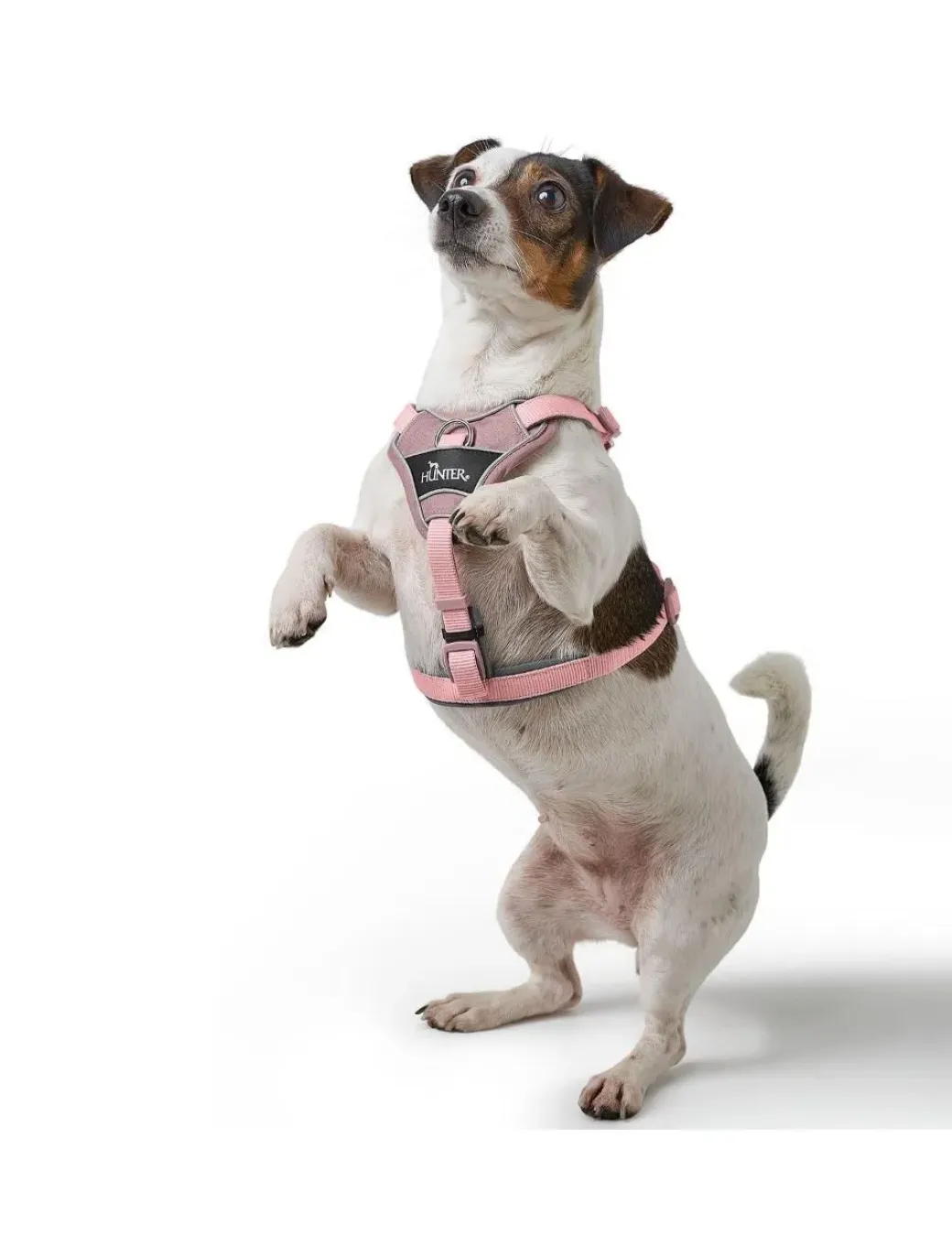 Hunter Divo Up hundesele S lyserød just mave 45-56 cm - Rolig påtagning og stabil komfort